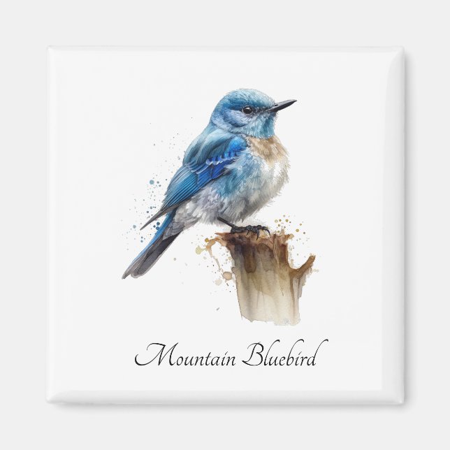 Cute Little Mountain Bluebird Watercolor, custom Magnet (Front)