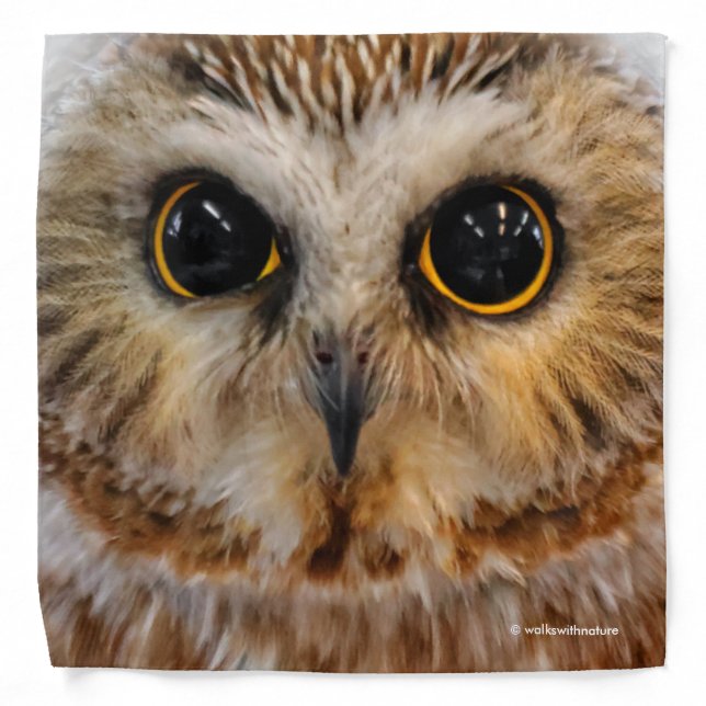 Cute Little Northern Saw Whet Owl Bandana (Front)