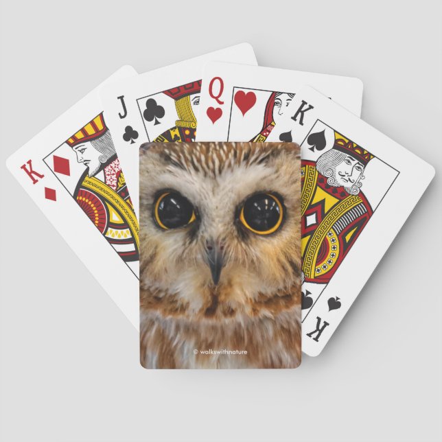 Cute Little Northern Saw Whet Owl Poker Cards (Back)