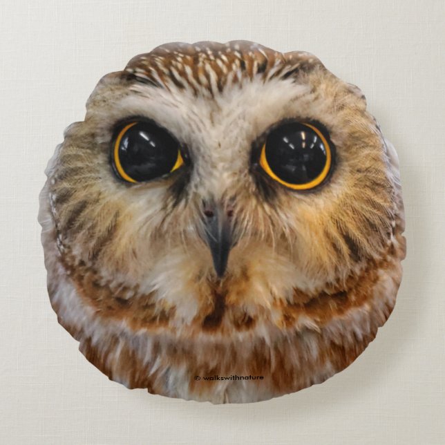 Cute Little Northern Saw Whet Owl Round Pillow (Front)