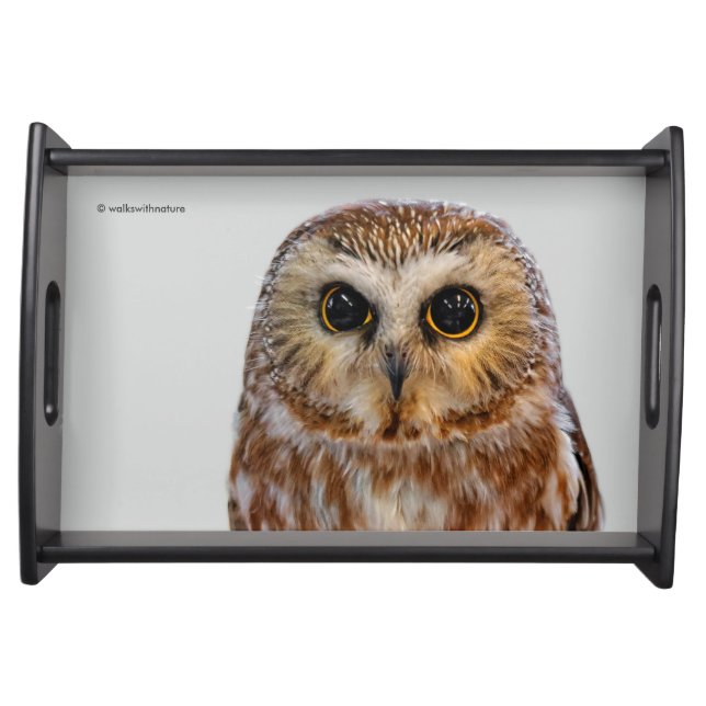 Cute Little Northern Saw Whet Owl Serving Tray (Front)