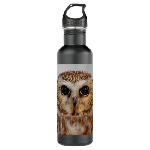 Cute Little Northern Saw Whet Owl Stainless Steel Water Bottle