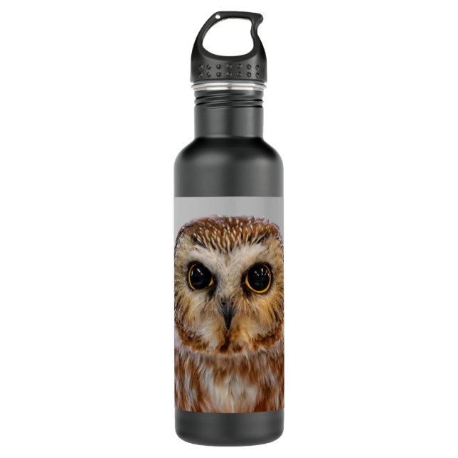 Cute Little Northern Saw Whet Owl Stainless Steel Water Bottle (Front)