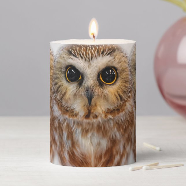 Cute Little Northern Saw Whet Owls Pillar Candle (In Situ)