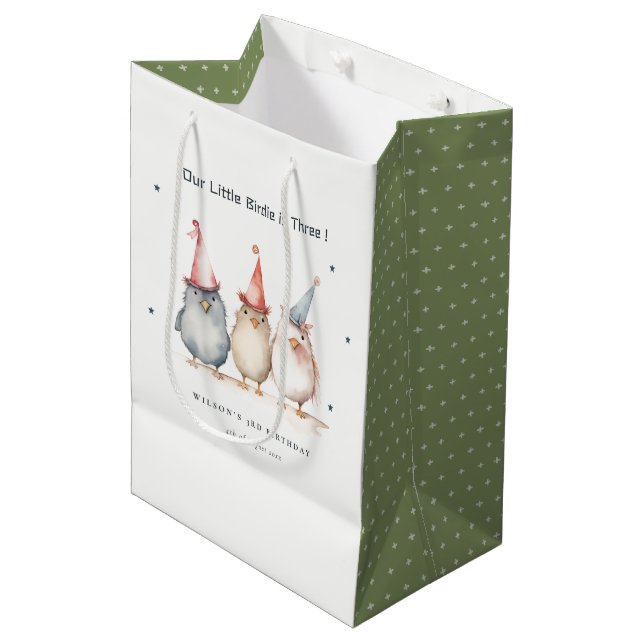 Cute Little Party Birds Any Age Kids Birthday Medium Gift Bag (Front Angled)