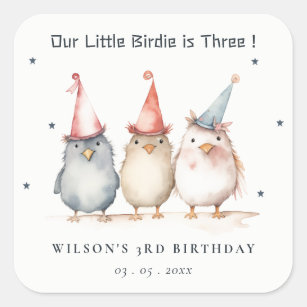 Cute Little Party Birds Any Age Kids Birthday Square Sticker