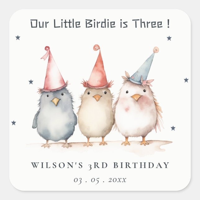 Cute Little Party Birds Any Age Kids Birthday Square Sticker (Front)