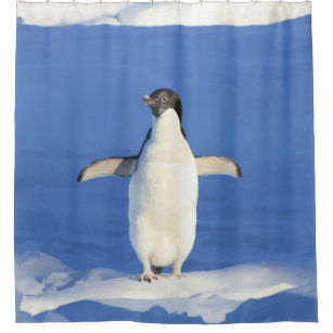 Cute Little Penguin Bird Blue Ice Shower Curtain