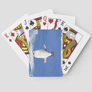 Cute Little Penguin Standing on the Ice Poker Cards