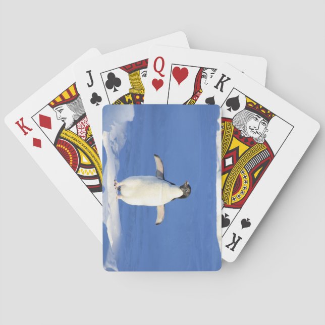 Cute Little Penguin Standing on the Ice Poker Cards (Back)