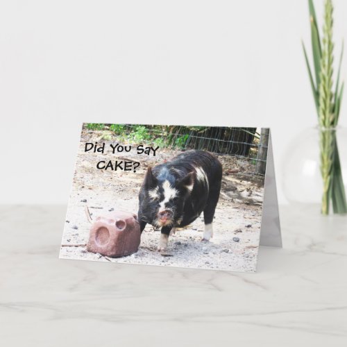 Cute Little Piggy _ Birthday Card