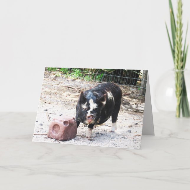 Cute Little Piggy - Farm Life Greeting Card (Front)