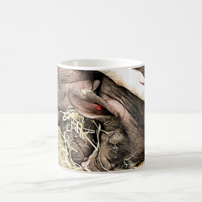 CUTE LITTLE PIGS COFFEE MUG (Center)