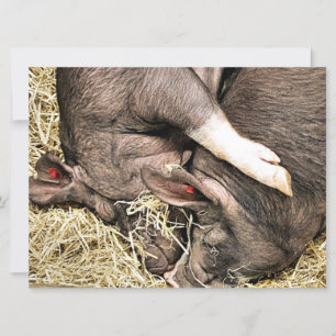 CUTE LITTLE PIGS invitation