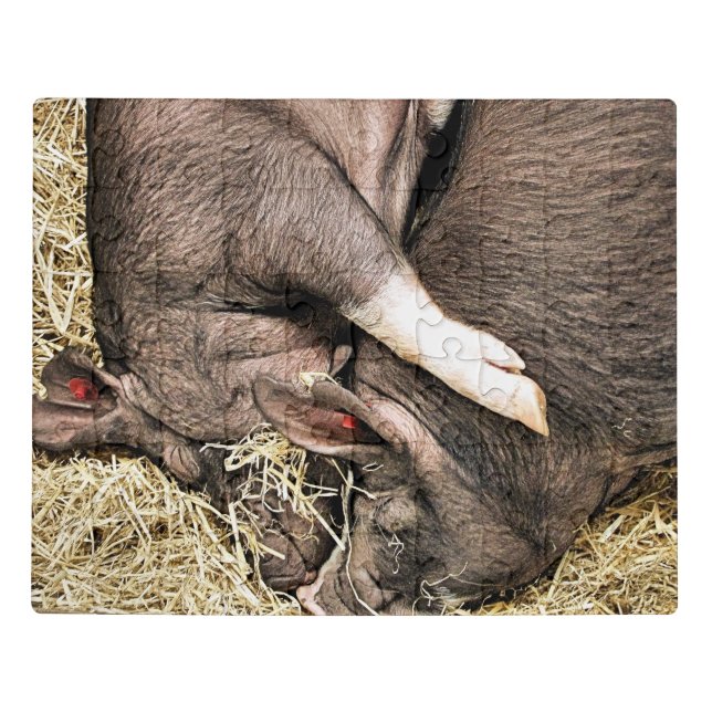 CUTE LITTLE PIGS JIGSAW PUZZLE (Puzzle Horizontal)
