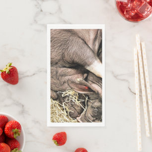 CUTE LITTLE PIGS PAPER GUEST TOWELS