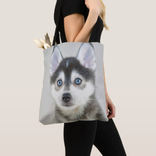 pomsky gifts