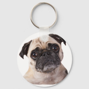 cute little pug dog keychain