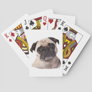 cute little pug dog poker cards
