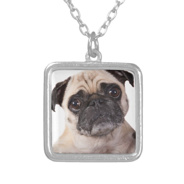 cute little pug dog silver plated necklace (Front)