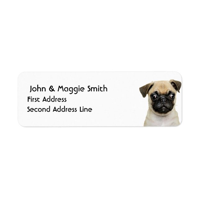 Cute Little Pug Puppy Dog Pet Animal Label (Front)