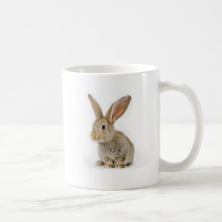 Cute little rabbit coffee mug