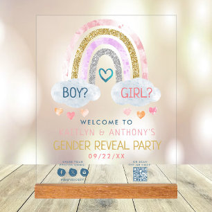 Cute Little Rainbow Gender Reveal Party Welcome Acrylic Sign