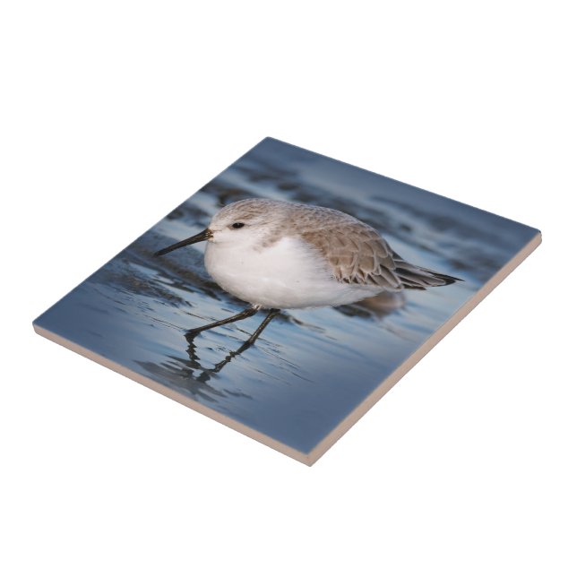 Cute Little Sanderling at the Beach Ceramic Tile (Side)