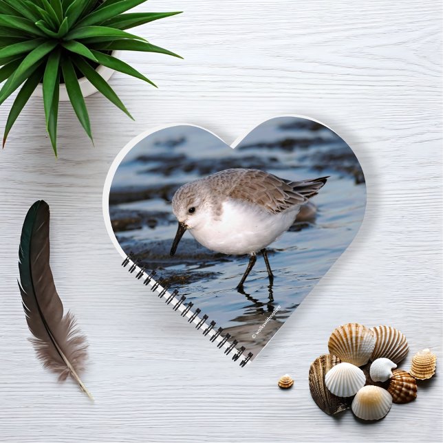Cute Little Sanderling at the Beach Notebook (Sanderling Strolling on the Winter Beach Journal Beach)