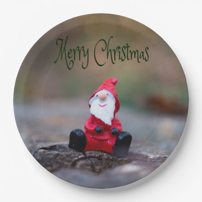 Cute Little Santa Clause Merry Christmas Paper Plates (Front)