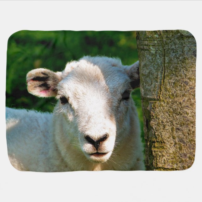 CUTE LITTLE SHEEP BABY BLANKET (Horizontal)