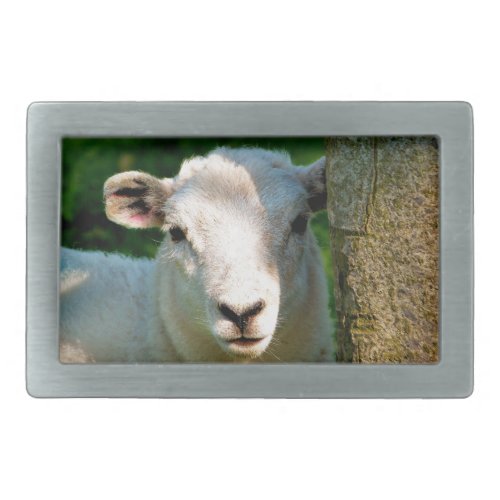 CUTE LITTLE SHEEP BELT BUCKLE