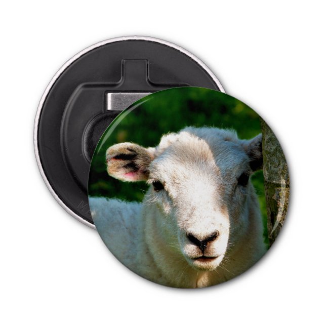 CUTE LITTLE SHEEP BOTTLE OPENER (Front)