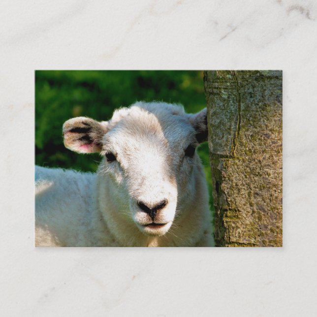 CUTE LITTLE SHEEP BUSINESS CARD (Front)