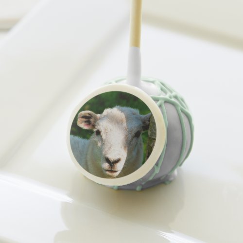 CUTE LITTLE SHEEP CAKE POPS