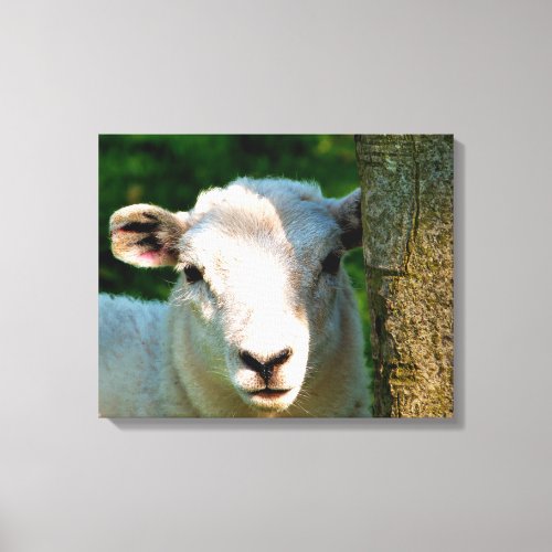 CUTE LITTLE SHEEP CANVAS PRINT