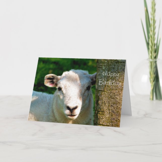 CUTE LITTLE SHEEP CARD (Front)