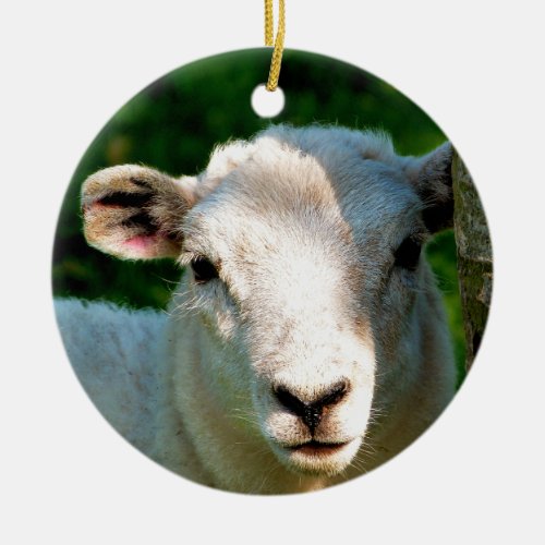 CUTE LITTLE SHEEP CERAMIC ORNAMENT