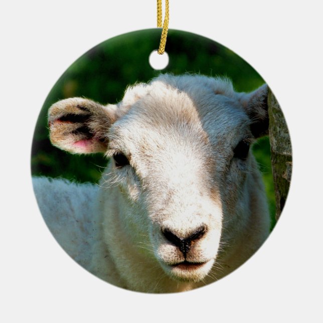 CUTE LITTLE SHEEP CERAMIC ORNAMENT (Front)