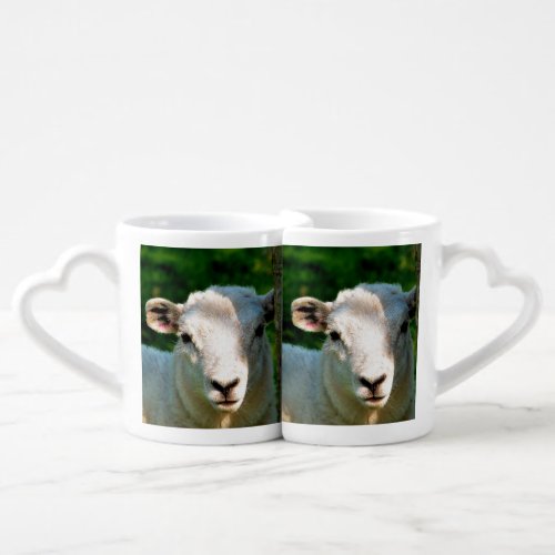 CUTE LITTLE SHEEP COFFEE MUG SET