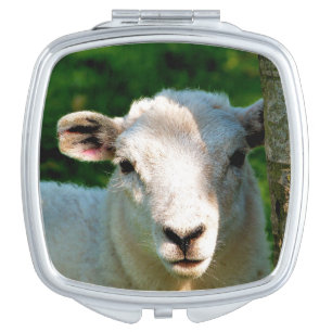 CUTE LITTLE SHEEP COMPACT MIRROR