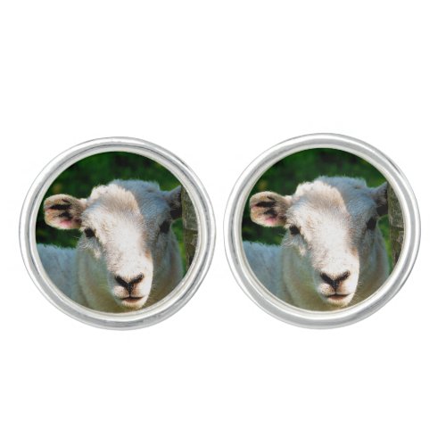 CUTE LITTLE SHEEP CUFFLINKS