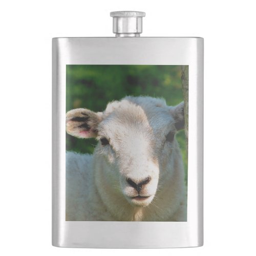 CUTE LITTLE SHEEP HIP FLASK