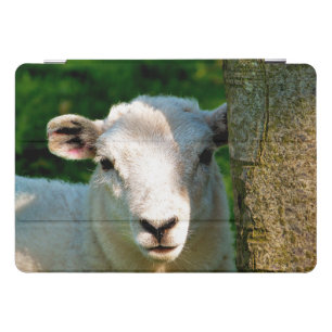 CUTE LITTLE SHEEP  iPad PRO COVER