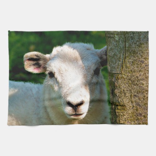 CUTE LITTLE SHEEP KITCHEN TOWEL