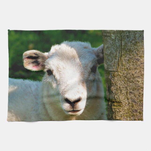 CUTE LITTLE SHEEP KITCHEN TOWEL (Horizontal)