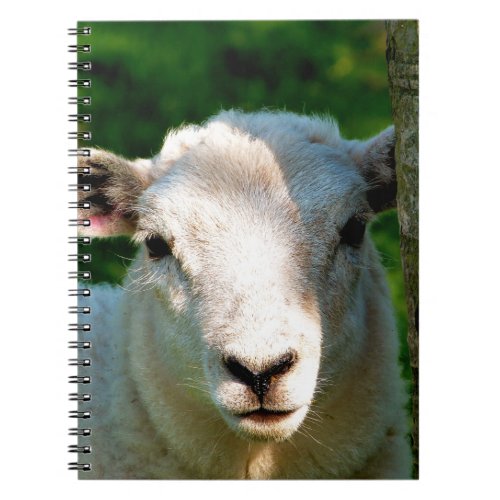 CUTE LITTLE SHEEP NOTEBOOK