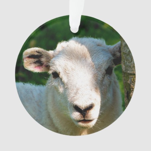 CUTE LITTLE SHEEP ORNAMENT