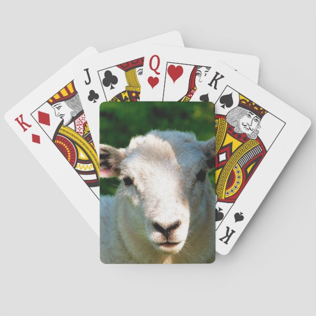 CUTE LITTLE SHEEP POKER CARDS (Back)
