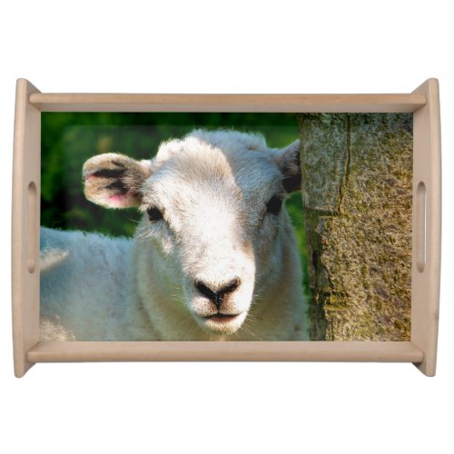 CUTE LITTLE SHEEP SERVING TRAY